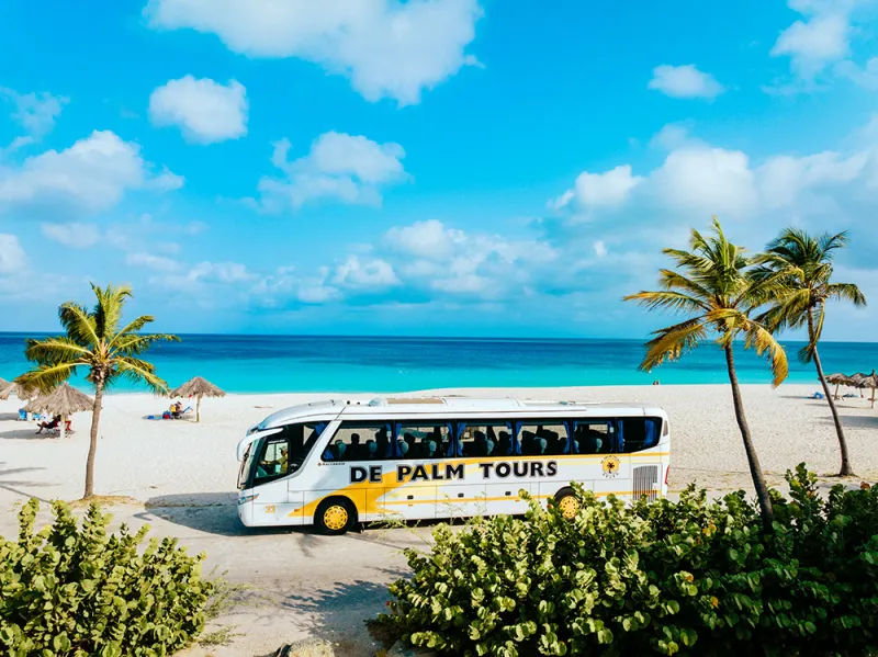 a bus parked in front of a palm tree on a beach