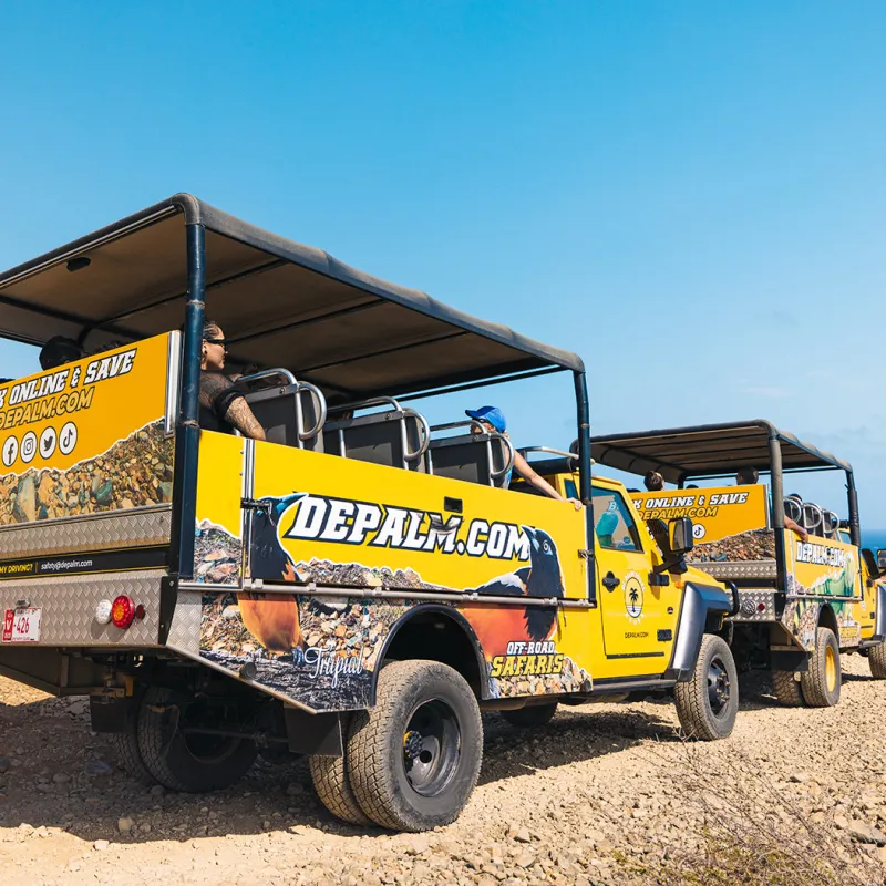de palm tours jeep tours in arikok national park