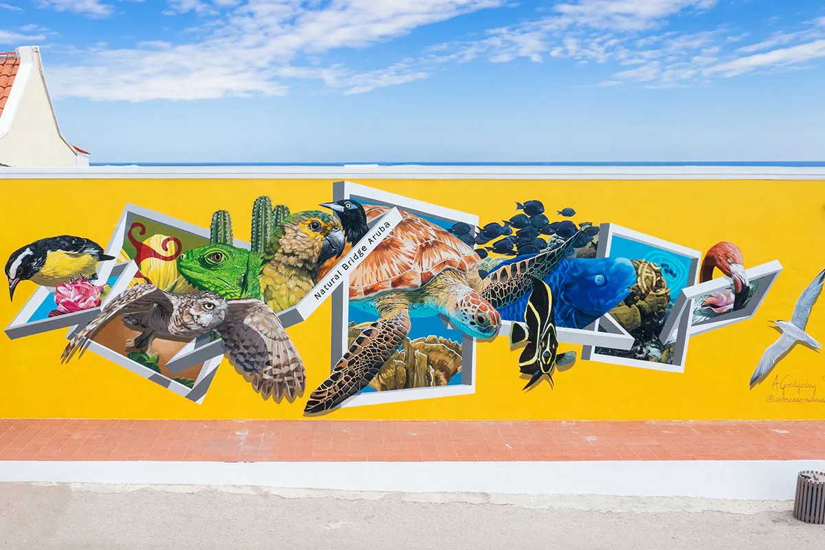 Wildlife Aruba